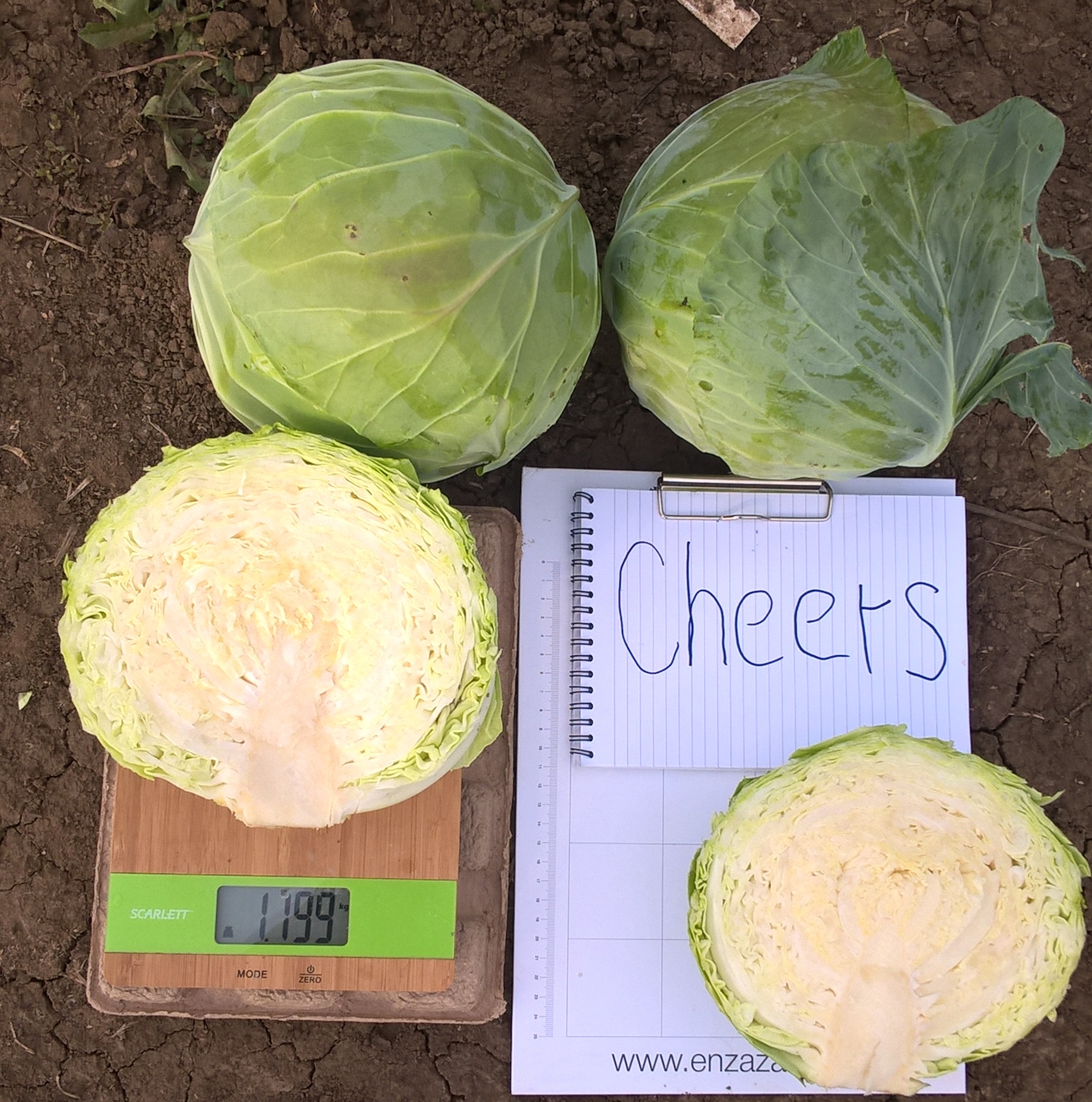 Чирс F1 2500 шт 10%НДС