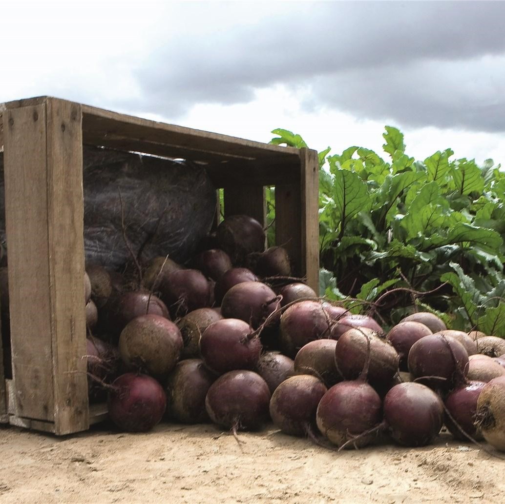 Ред Клауд F1 50 000 шт