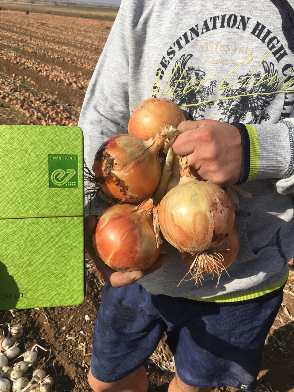 Ногал F1 250 000 шт