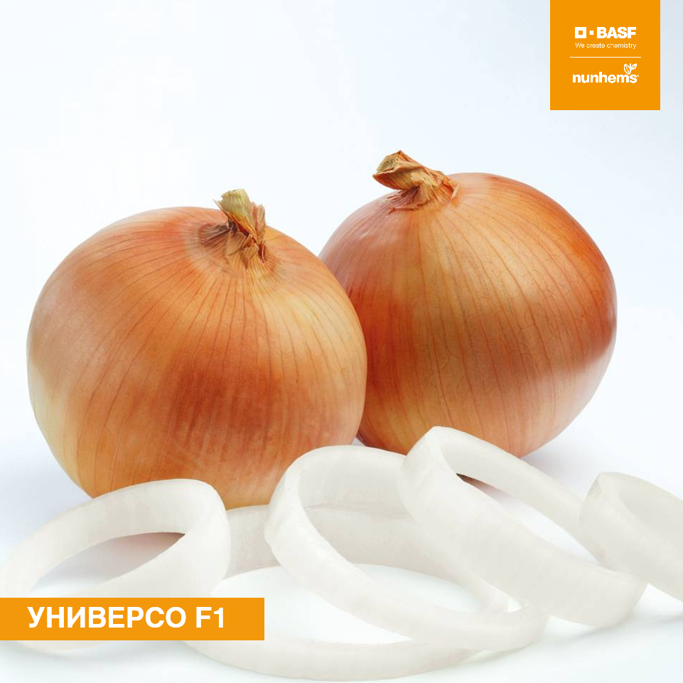 Универсо F1 100 000 шт