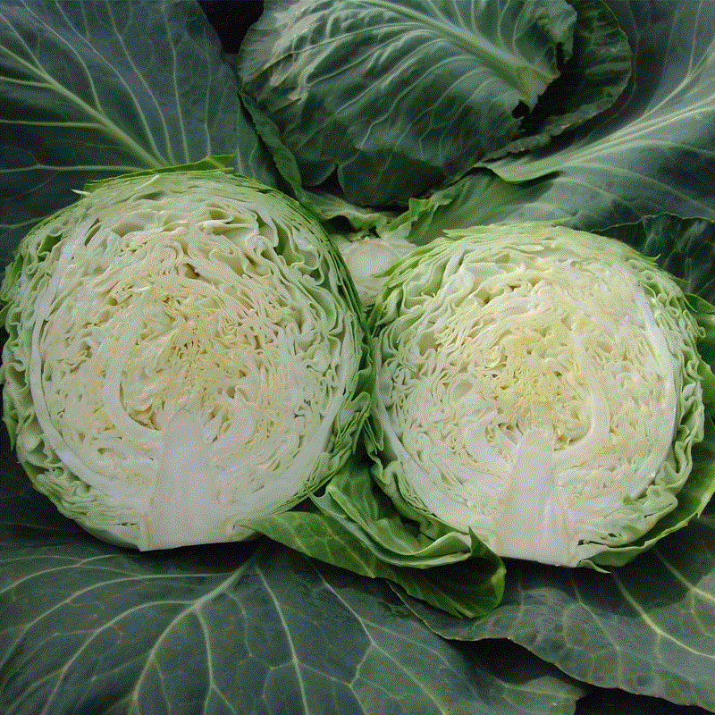 Кевин F1 2500 шт