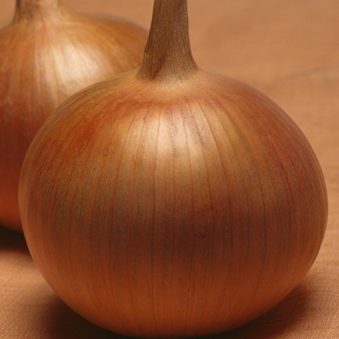 Бонус F1 250 000 шт