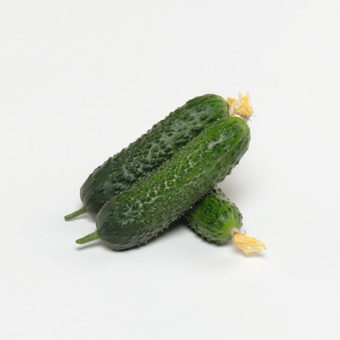 Аристан F1 1000 шт