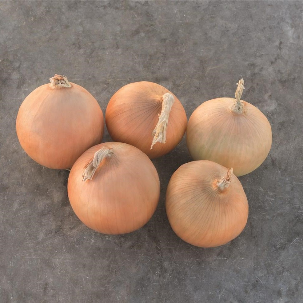 Радар 250 000 шт