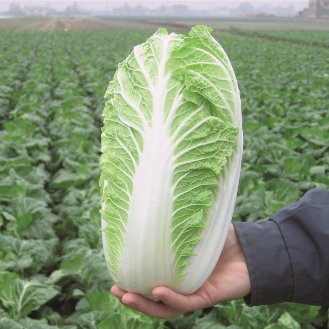 Эмико F1 2500 шт