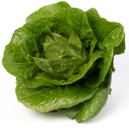 Максимус 1000 шт