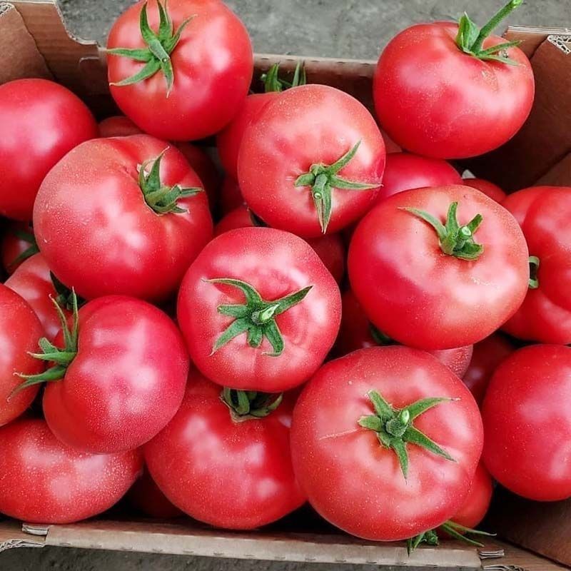 Мей Шуай F1 500 шт