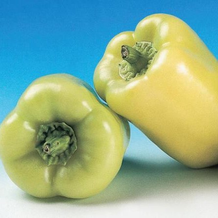 Фламинго F1 1000 шт