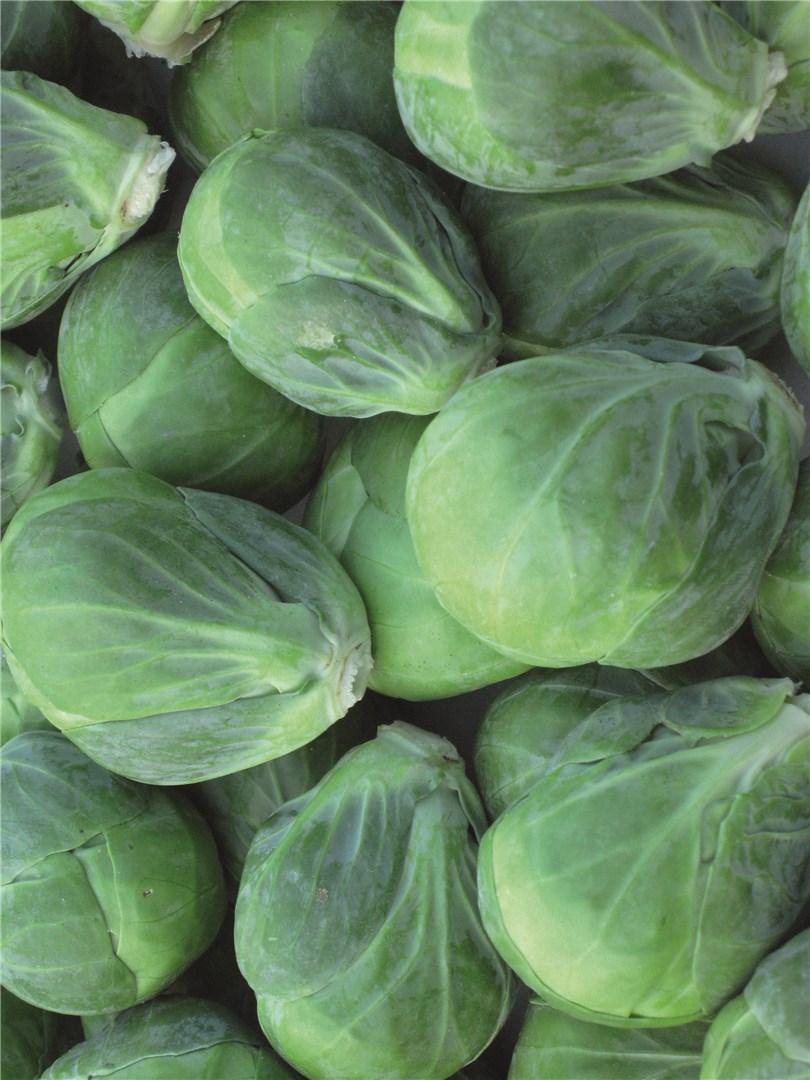 Давлин F1 2500 шт