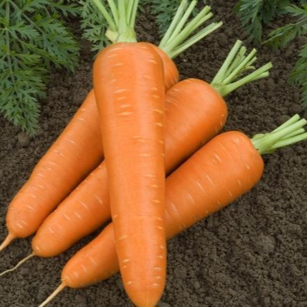 Олимпо F1 500 000 шт