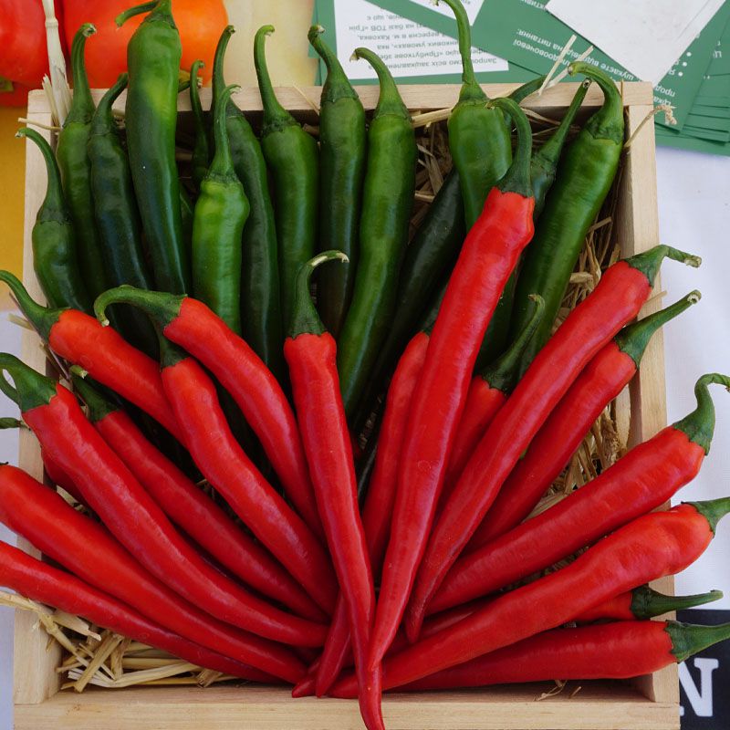 Хайфи F1 250 шт