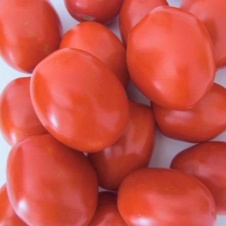 Платон F1 5000 шт