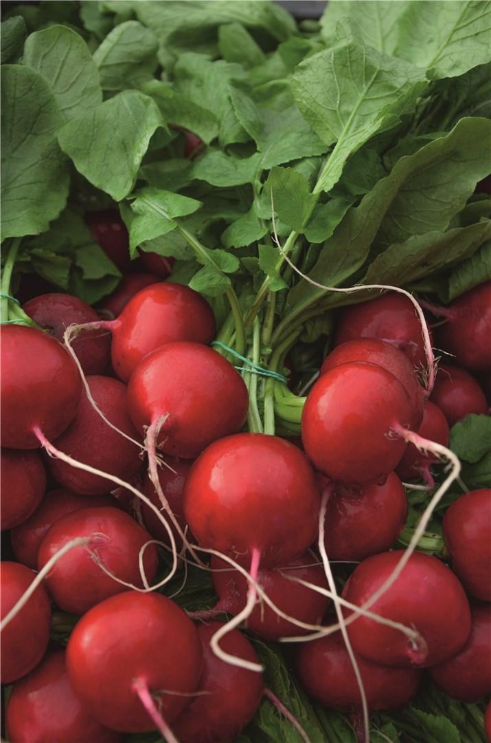 Ролекс F1 50000 шт прец. 2,50-2,75 мм 