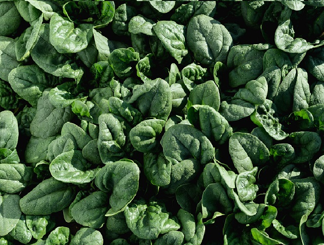 Траверс F1 100 000 шт