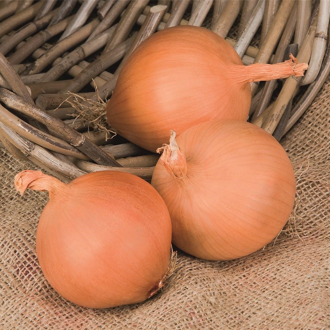 Манас F1 прец. 250 000 шт 