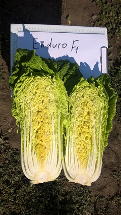 Эндуро F1 2500 шт