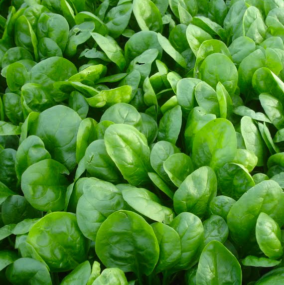 Спутник F1 50 000 шт