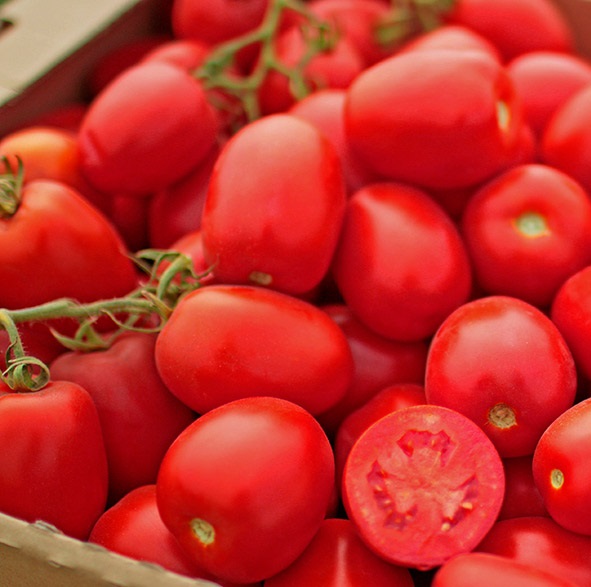 Петраросса F1 5000 шт