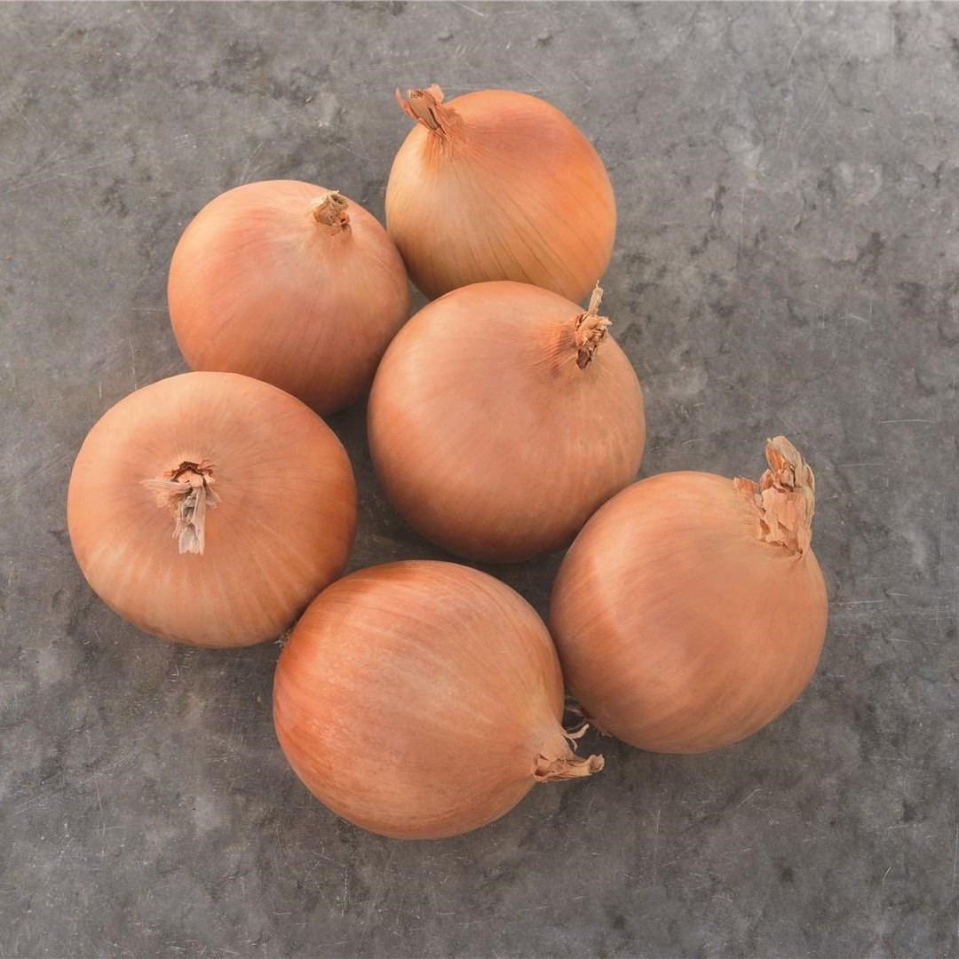 Седона F1 прец. 250 000 шт 