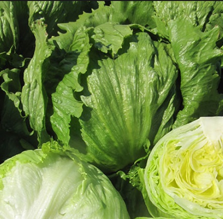 Эльмундо 5000 шт