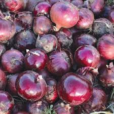 Монастрел F1 250 000 шт