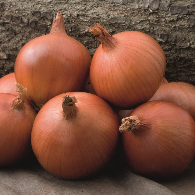 Мэллори F1 250 000 шт 