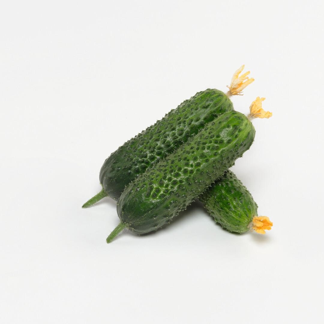 Анзор F1 1000 шт