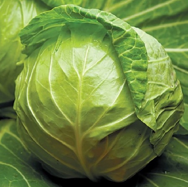 Джетодор F1 2500 шт