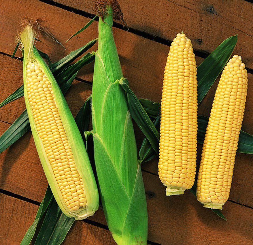 Сентинель F1 50 000 шт