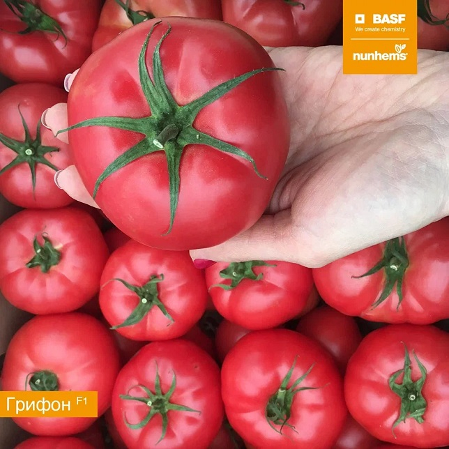 Грифон F1 1000 шт 