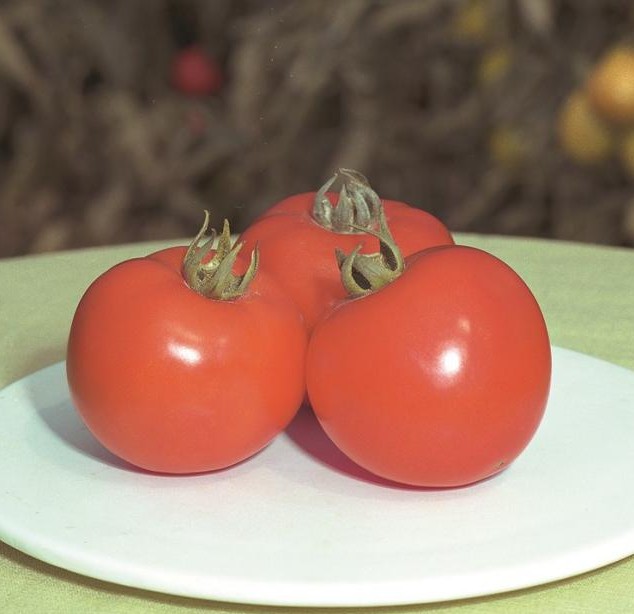 Полфаст F1 1000 шт