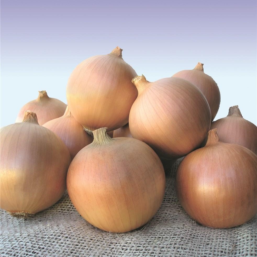 Сибирь 250 000 шт