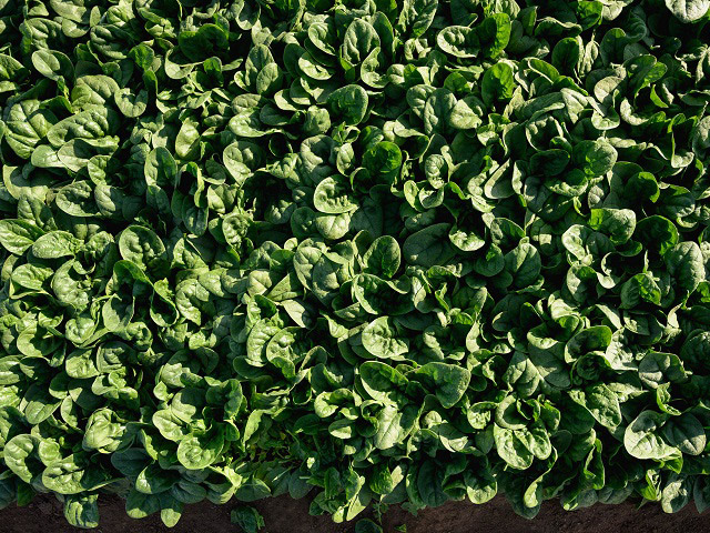 Кросстрек F1 100 000 шт