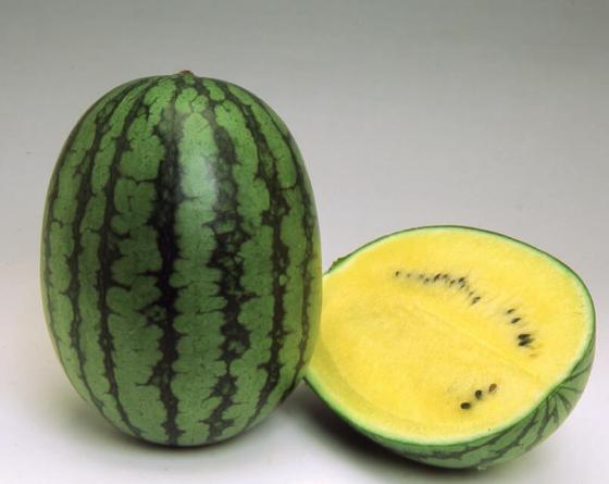 Голден Тайгер F1 1000шт