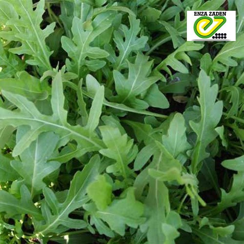 Летиция 1 000 000 шт