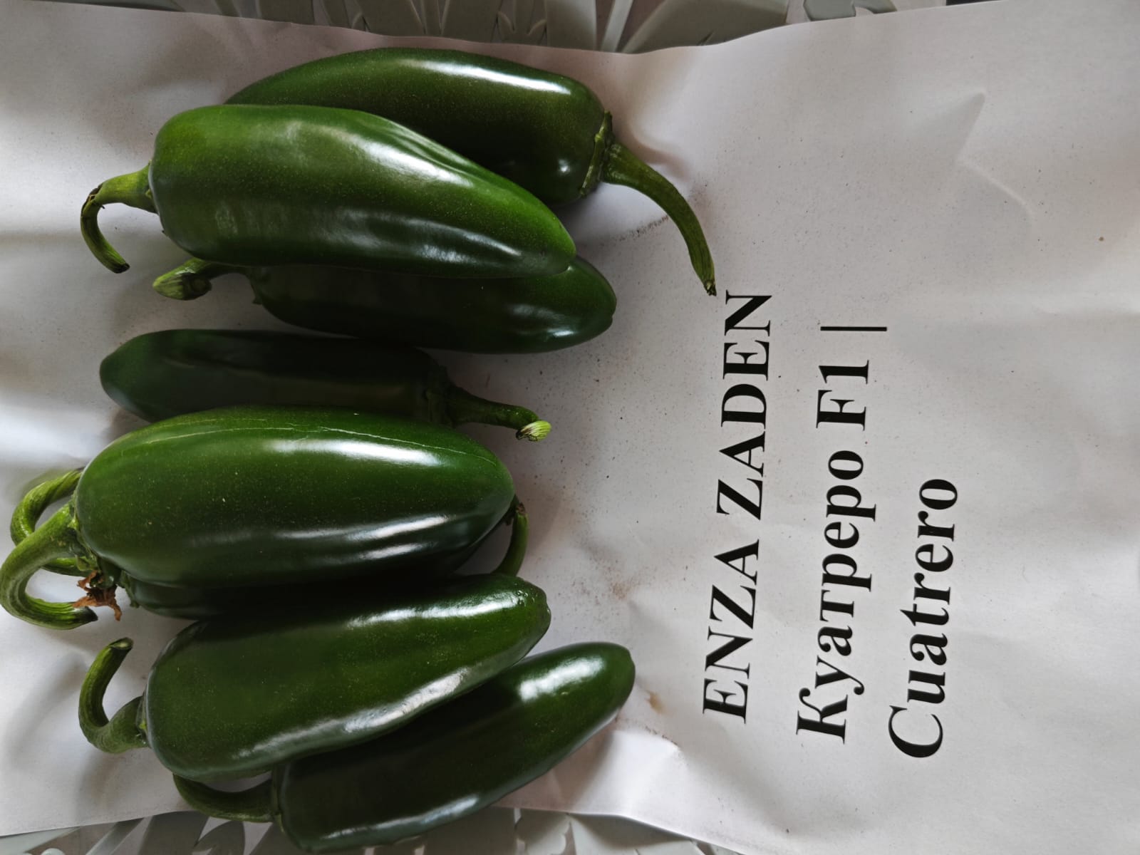 Куатреро F1 250 шт