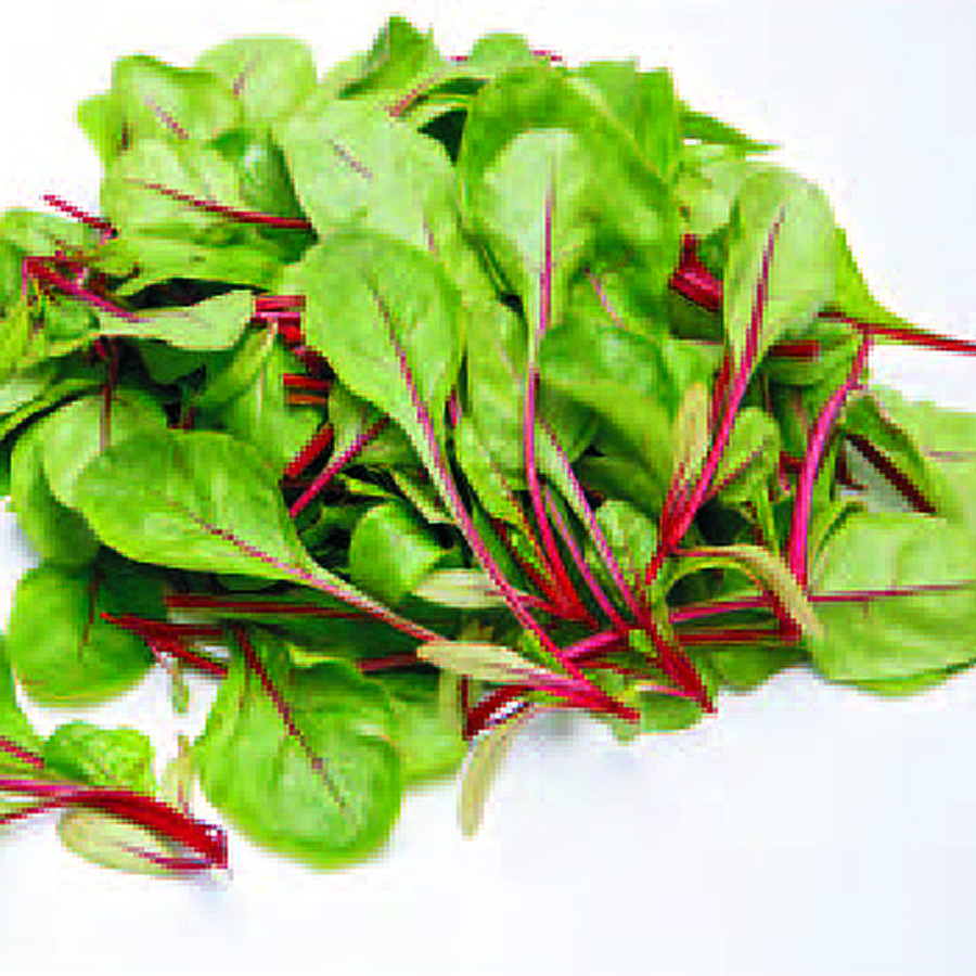 Серен F1 50 000 шт