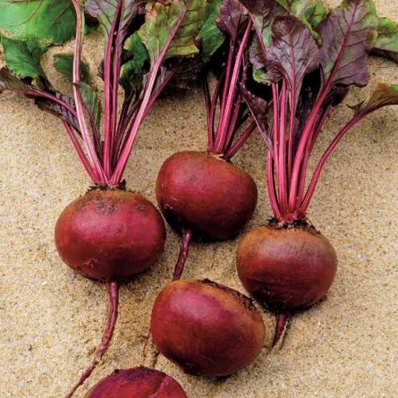 Камаро F1 50 000 шт