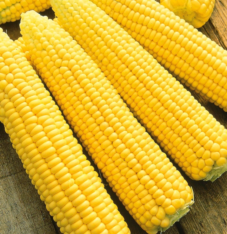 Мегатон F1 5000 шт