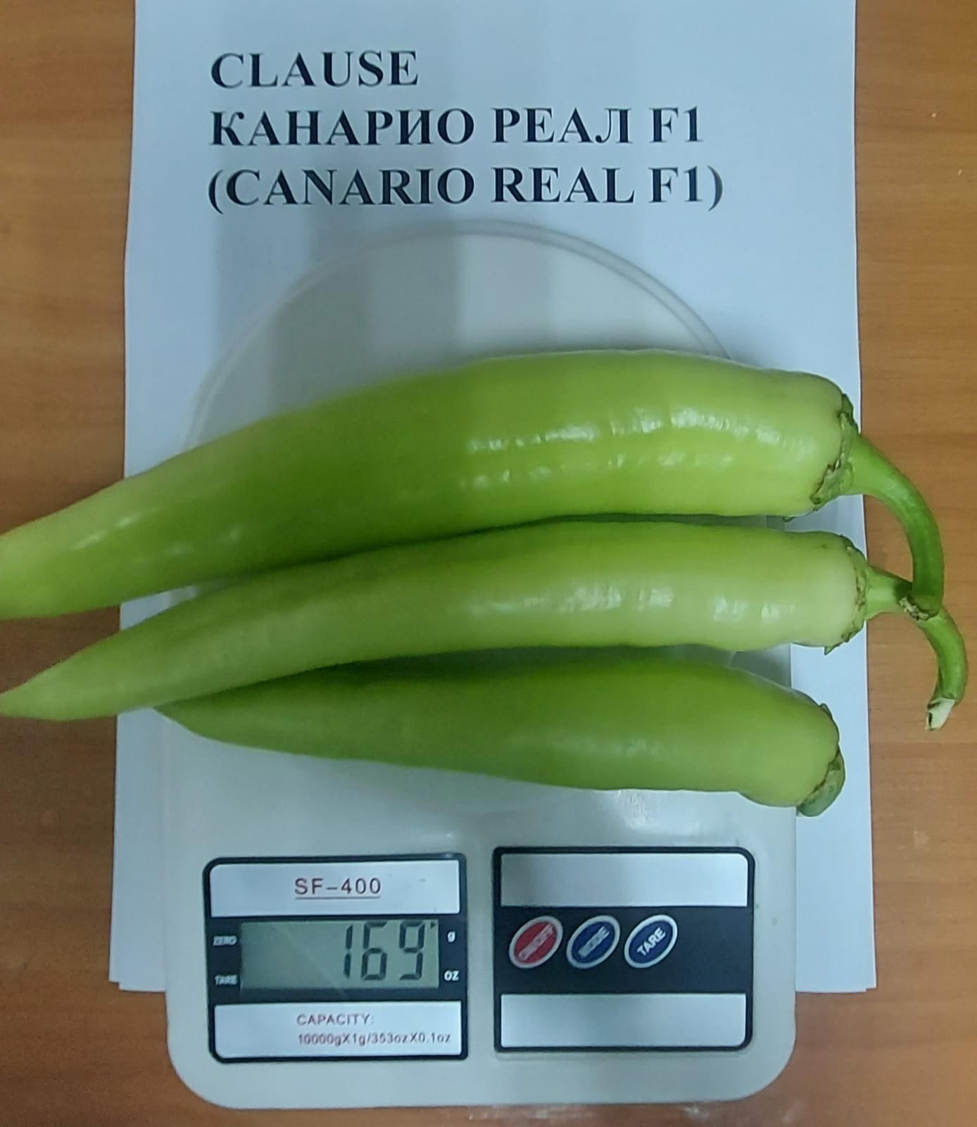 Канарио Реал F1 250 шт