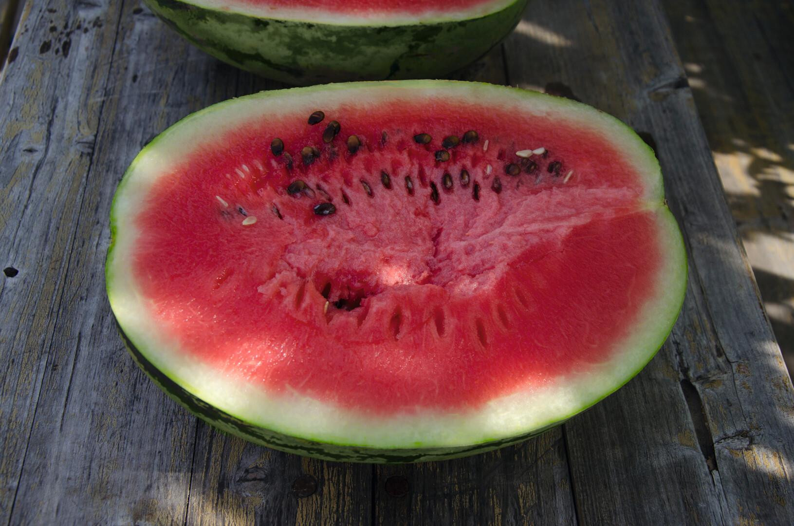 Бедуин F1 1000 шт