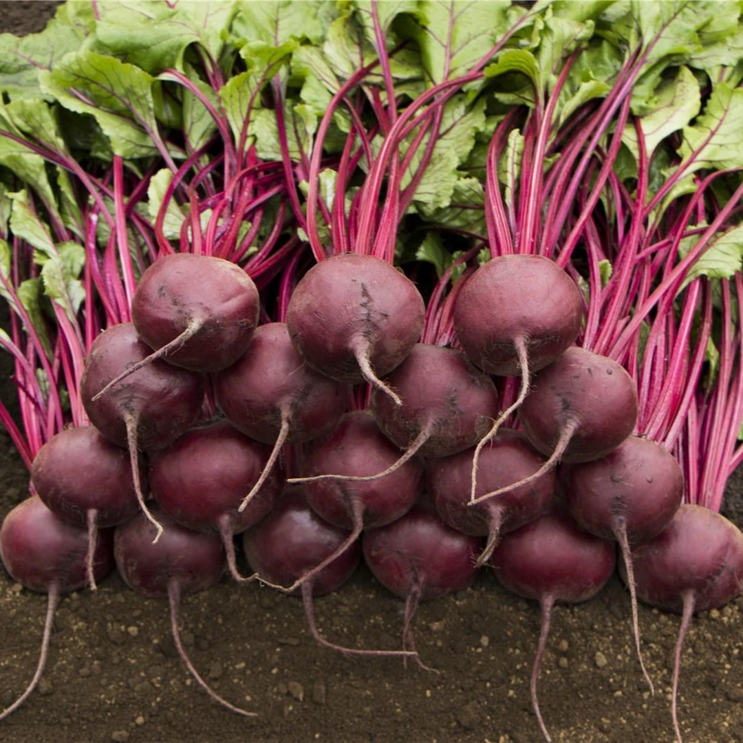 Маноло F1 50 000 шт