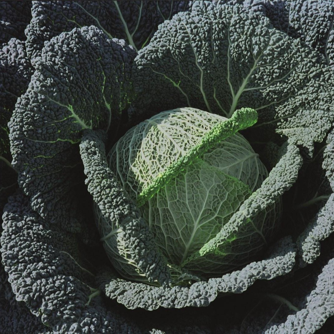 Вироса F1 2500 шт