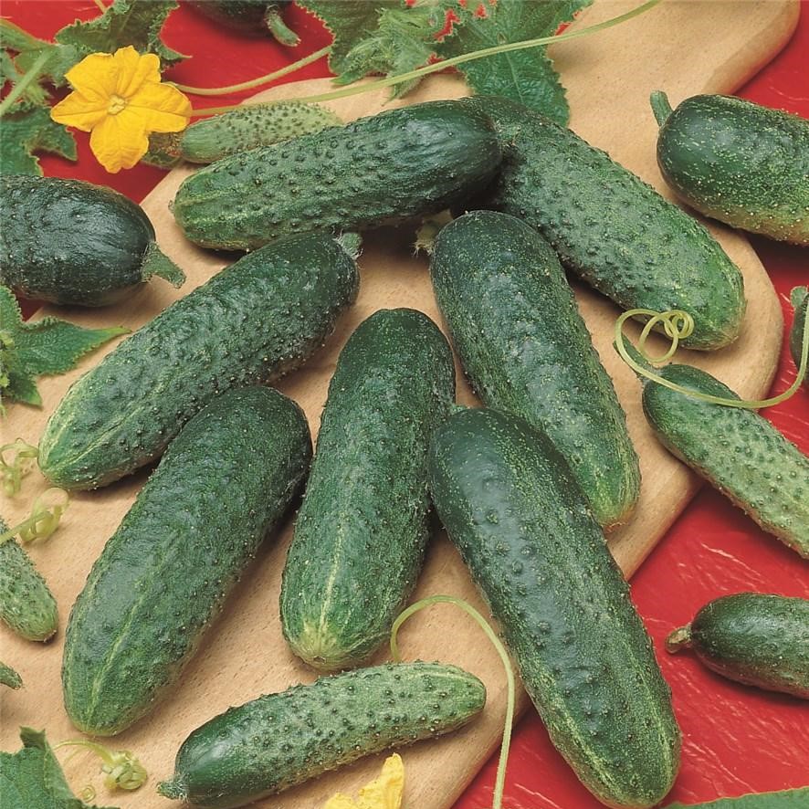 Астерикс F1 250 шт