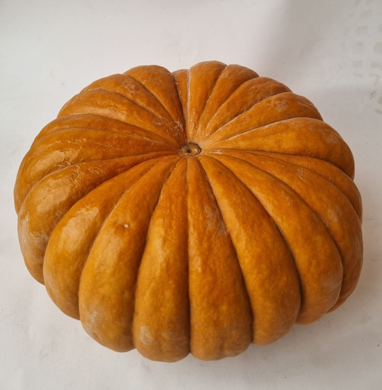 Маноск F1 500 шт