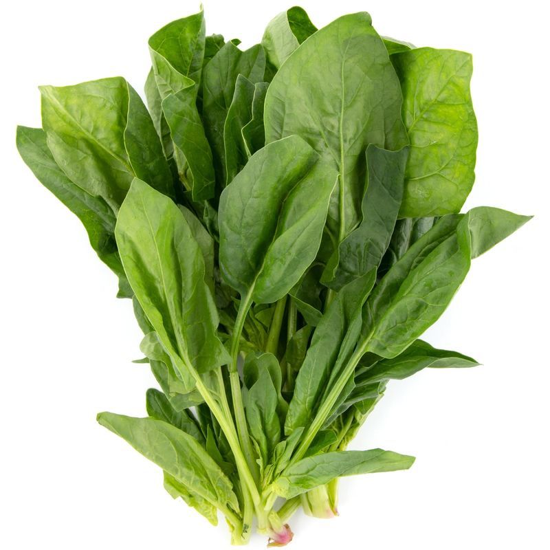 Икарус F1 50 000 шт