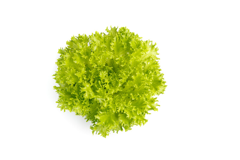 Экзакт 5000 шт