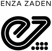Enza Zaden (Нидерланды) Enza Zaden (Нидерланды)